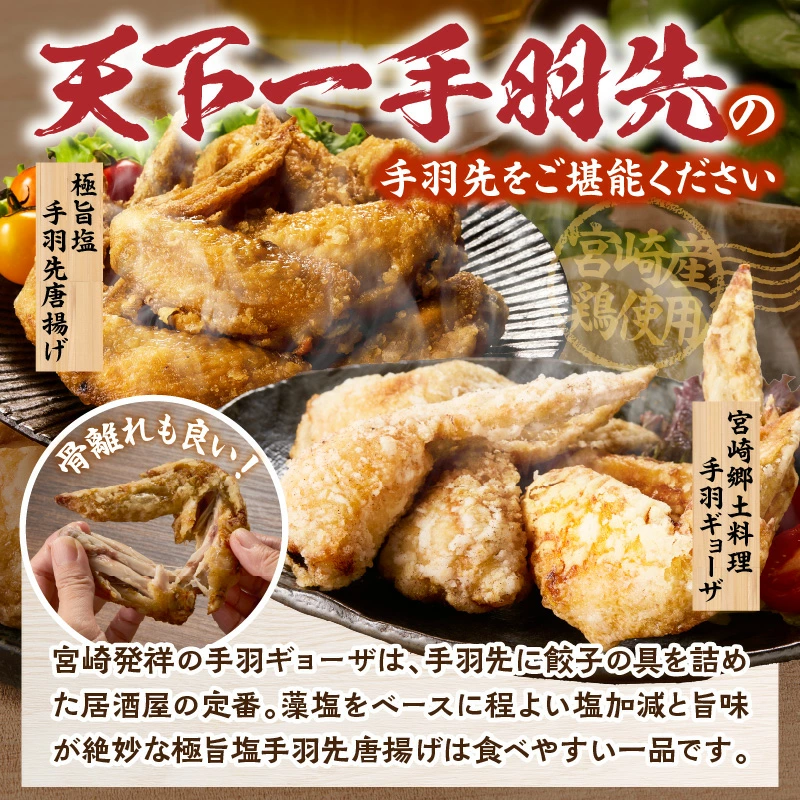 【選べる種類】【手羽先サミット殿堂入り!】 極旨塩生手羽先・手羽ギョーザor手羽先唐揚げ・手羽ギョーザ（調理済み）セット 計24本