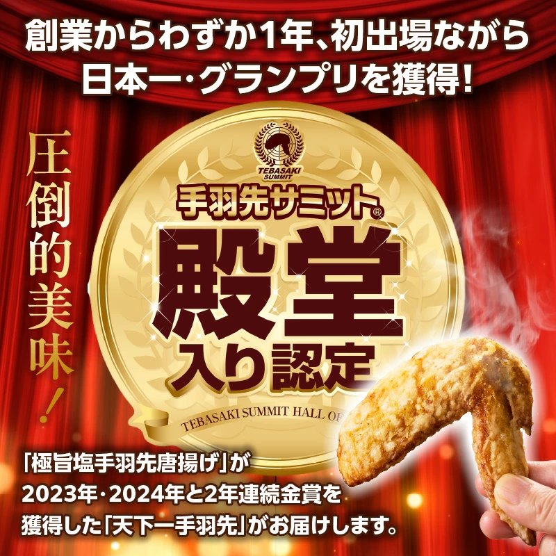 【選べる種類】【手羽先サミット殿堂入り!】 極旨塩生手羽先・手羽ギョーザor手羽先唐揚げ・手羽ギョーザ（調理済み）セット 計24本