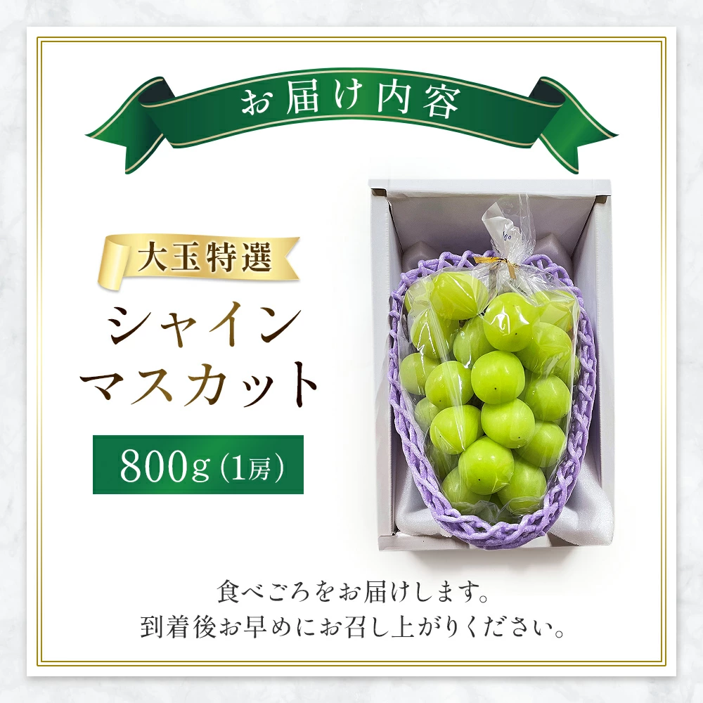 【令和8年発送・先行予約】大玉 特選 シャインマスカット 800g（ぶどう ブドウ シャインマスカット シャイン マスカット フルーツ 果物 くだもの 旬 先行受付 2026 産地直送 限定）