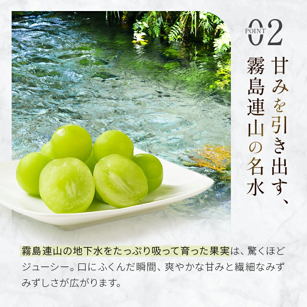 【令和8年発送・先行予約】大玉 特選 シャインマスカット 800g（ぶどう ブドウ シャインマスカット シャイン マスカット フルーツ 果物 くだもの 旬 先行受付 2026 産地直送 限定）