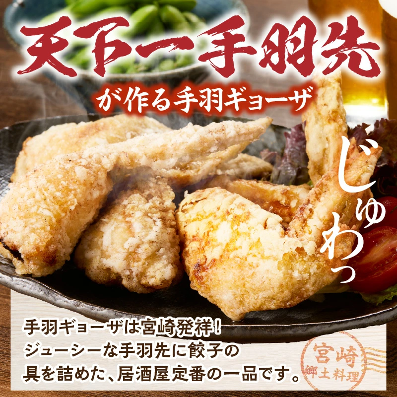 【選べる種類】【手羽先サミット殿堂入り!】生手羽ギョーザ18本 or 手羽ギョーザ（調理済み）18本  DAS023-u