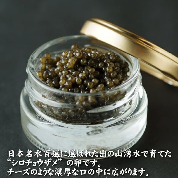 【純国産キャビア】ホワイトスタージョンキャビア 20g 皇帝の涙 国産 チョウザメ 魚卵 宮崎県