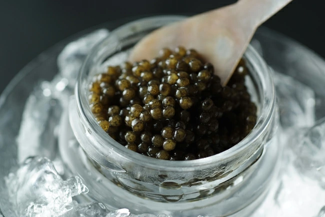 【純国産キャビア】ホワイトスタージョンキャビア 20g 皇帝の涙 国産 チョウザメ 魚卵 宮崎県