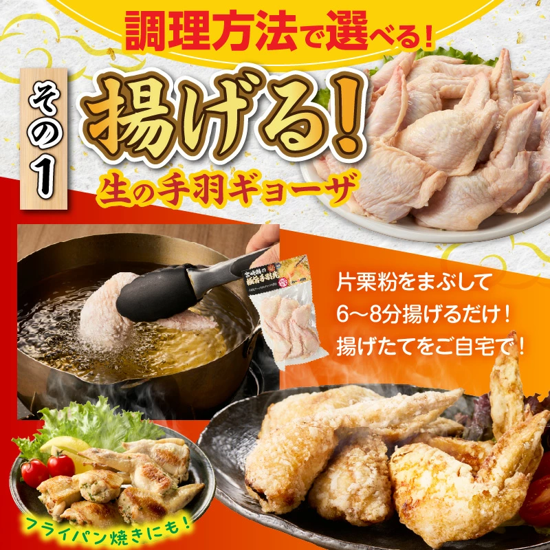 【選べる種類】【手羽先サミット殿堂入り!】生手羽ギョーザ18本 or 手羽ギョーザ（調理済み）18本  DAS023-u