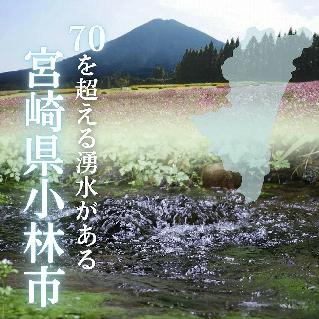 【ミネラルたっぷり天然水】ラベルのない細野の天然水 555ml×24本 1箱（国産 ナチュラルウォーター ミネラルウォーター ラベルレス 天然水 水 555ml 中硬水 シリカ 美容 人気 ペットボトル 霧島 宮崎 長期保存）