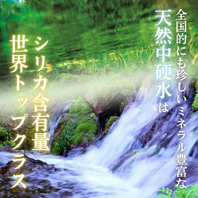 【ミネラルたっぷり天然中硬水】細野の天然水 555ml×24本 （国産 ナチュラルウォーター ミネラルウォーター 天然水 水 中硬水 シリカ 美容 人気 霧島 宮崎 小林市）
