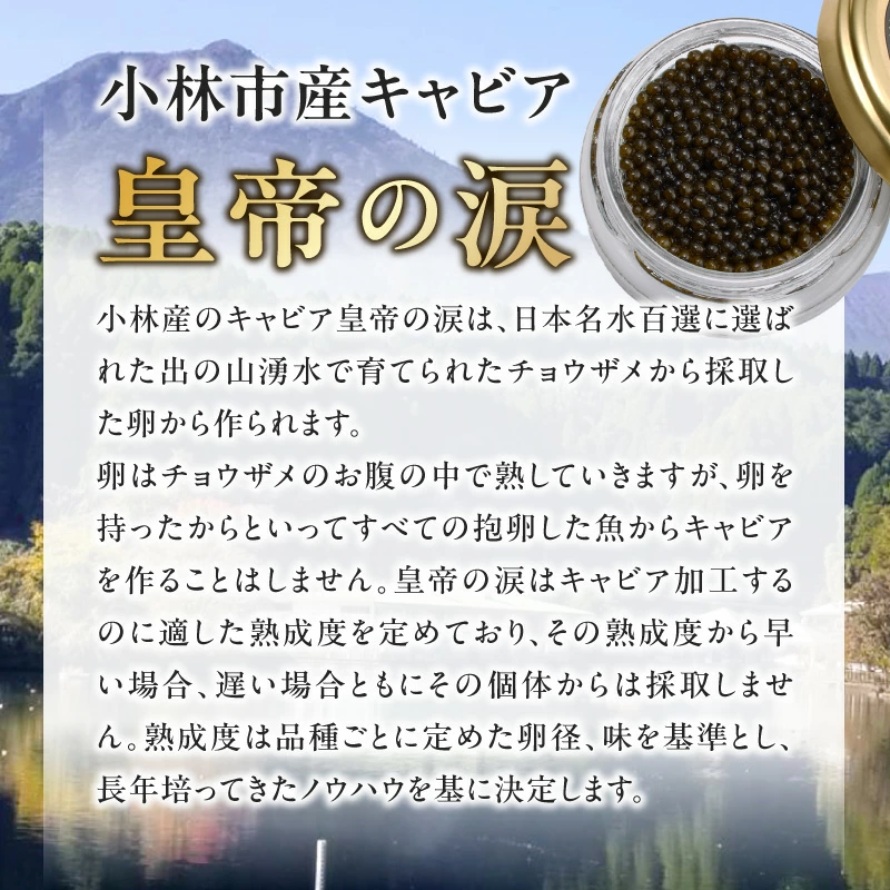 【純国産キャビア】ロイヤルシベリアンキャビア 20g 皇帝の涙 国産 チョウザメ 魚卵 宮崎県