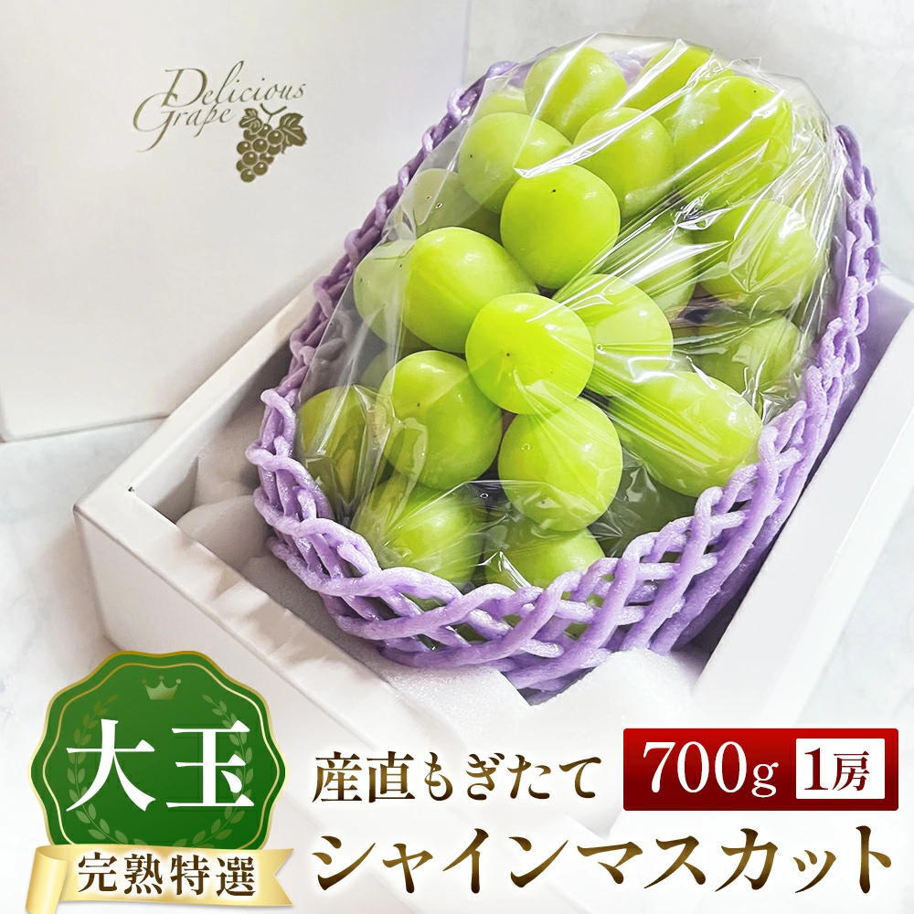 【令和8年発送・先行予約】大玉 シャインマスカット 700g（ぶどう ブドウ シャインマスカット シャイン マスカット フルーツ 果物 くだもの 旬 先行受付 2026 産地直送 限定）