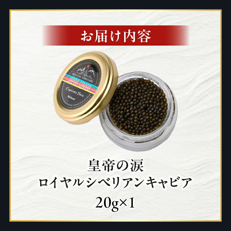 【純国産キャビア】ロイヤルシベリアンキャビア 20g 皇帝の涙 国産 チョウザメ 魚卵 宮崎県