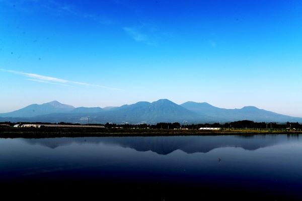 【純国産キャビア】オシェトラキャビア 20g 皇帝の涙 国産 チョウザメ 魚卵 宮崎県
