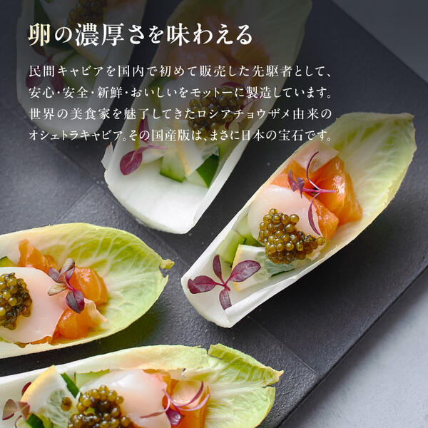 【純国産キャビア】オシェトラキャビア 20g 皇帝の涙 国産 チョウザメ 魚卵 宮崎県