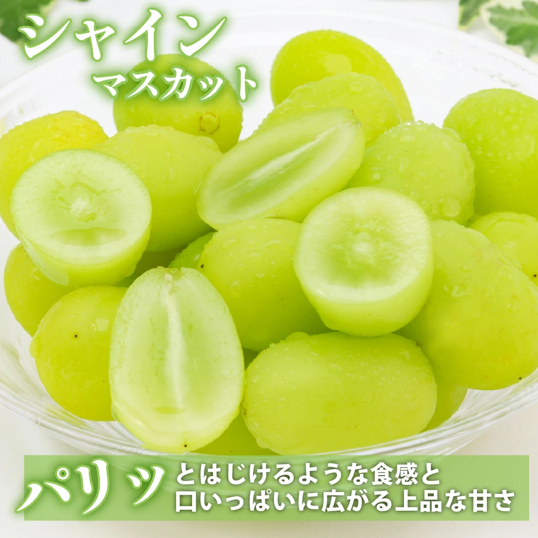 【令和8年発送・先行予約】大玉 シャインマスカット 700g（ぶどう ブドウ シャインマスカット シャイン マスカット フルーツ 果物 くだもの 旬 先行受付 2026 産地直送 限定）