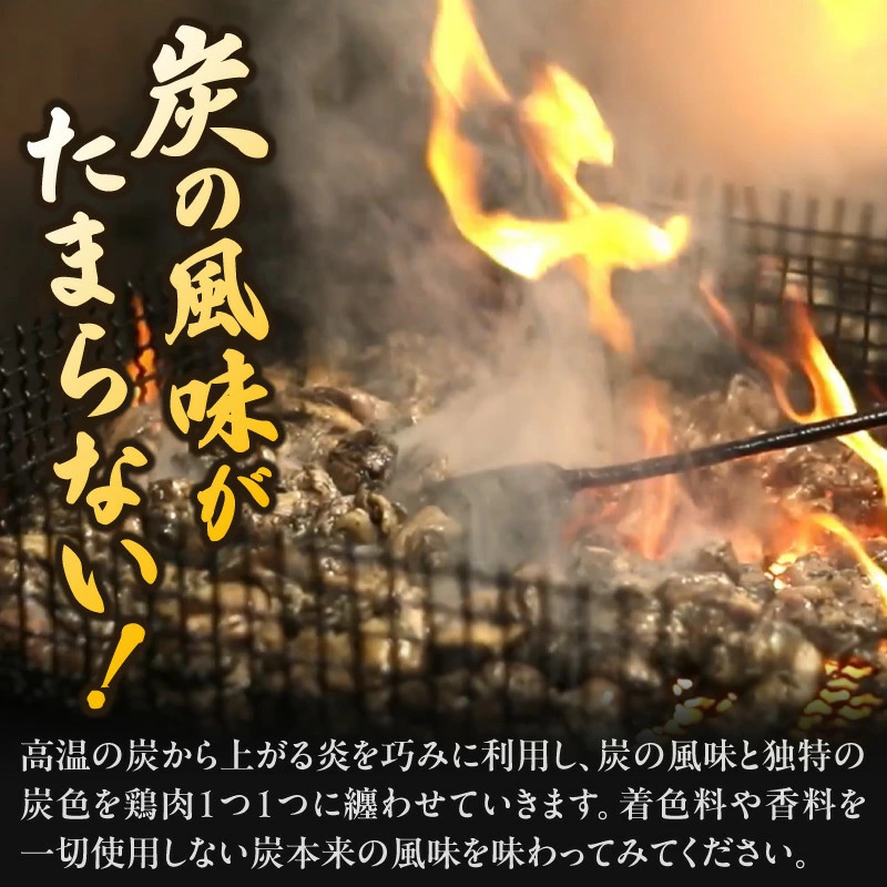 【選べる内容量】やわらか炭火焼100g×3P～15Pセット