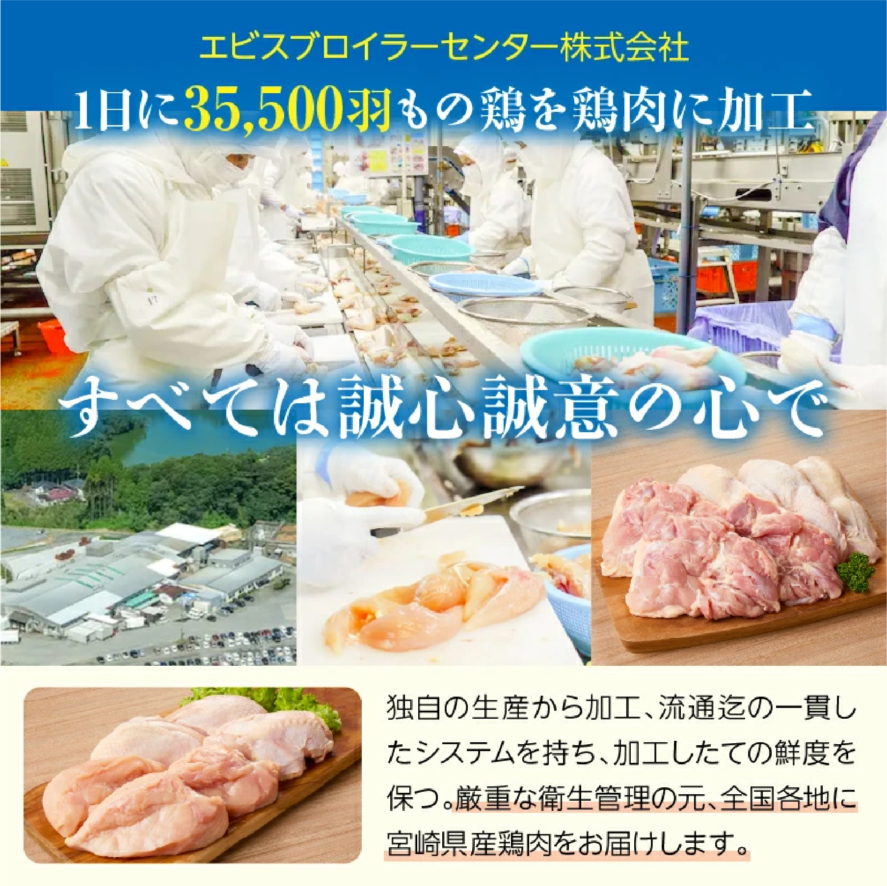 【業務用】宮崎県産若鶏もも・むねセット 計4kg（国産 鶏肉 鶏 お肉 若鶏 鶏モモ 鶏ムネ モモ ムネ 切り身）
