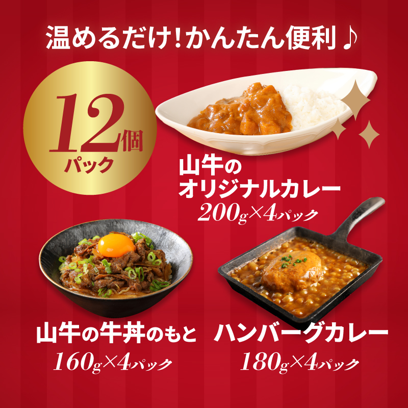 福袋 お楽しみレトルト詰め合わせ12パックセット _K16_0073_3