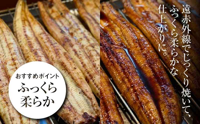 宮崎県産 うなぎ 白焼き 蒲焼き 4尾セット K10_0013_2 