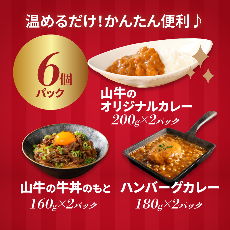 福袋 お楽しみレトルト詰め合わせ6パックセット _K16_0072_2