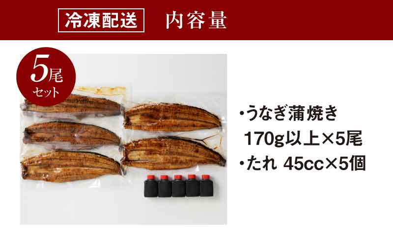 宮崎県産 うなぎ 蒲焼き 5尾セット K10_0011_2 