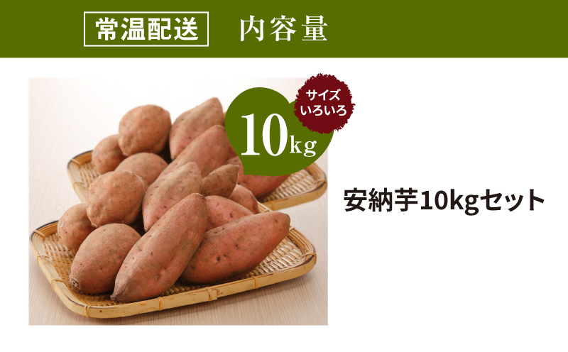 農家直送　木城町産　熟成安納いも10kg K30_0002_1