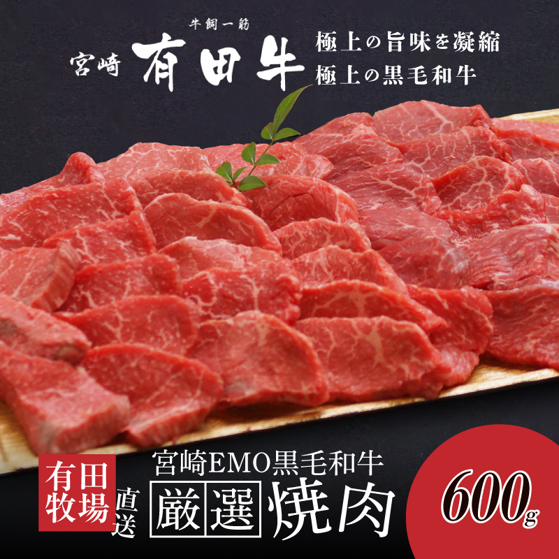 木城白木八重牧場育ちの黒毛和牛厳選焼肉 600g K20_0012_3