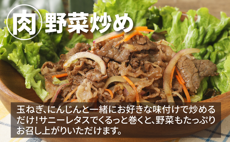 宮崎牛 ウデスライス800ｇ   K18_0038_4