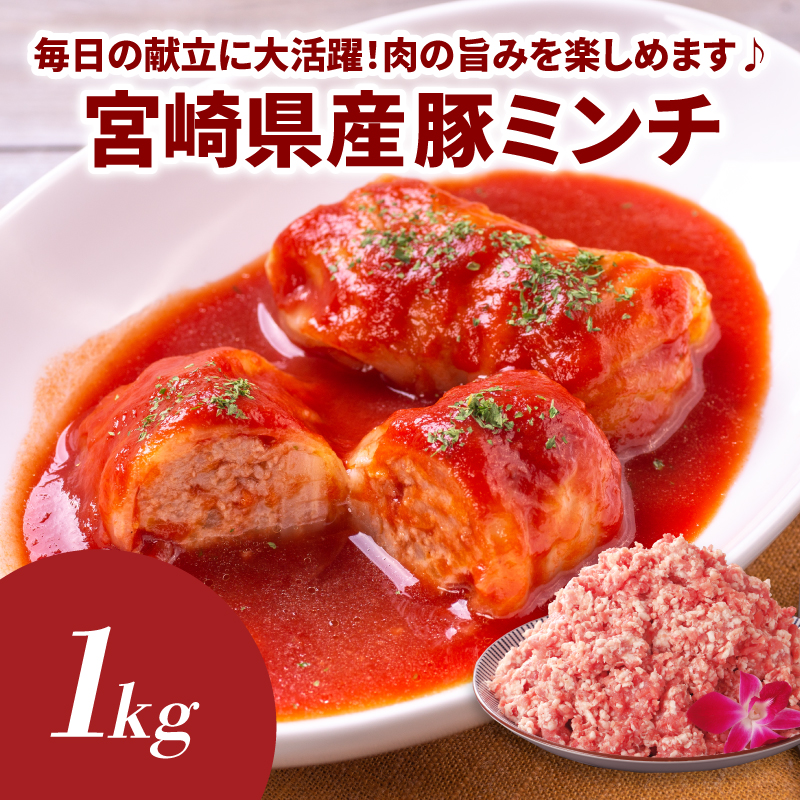 福袋 木城町 お肉いろいろお楽しみセットB K16_0070_3