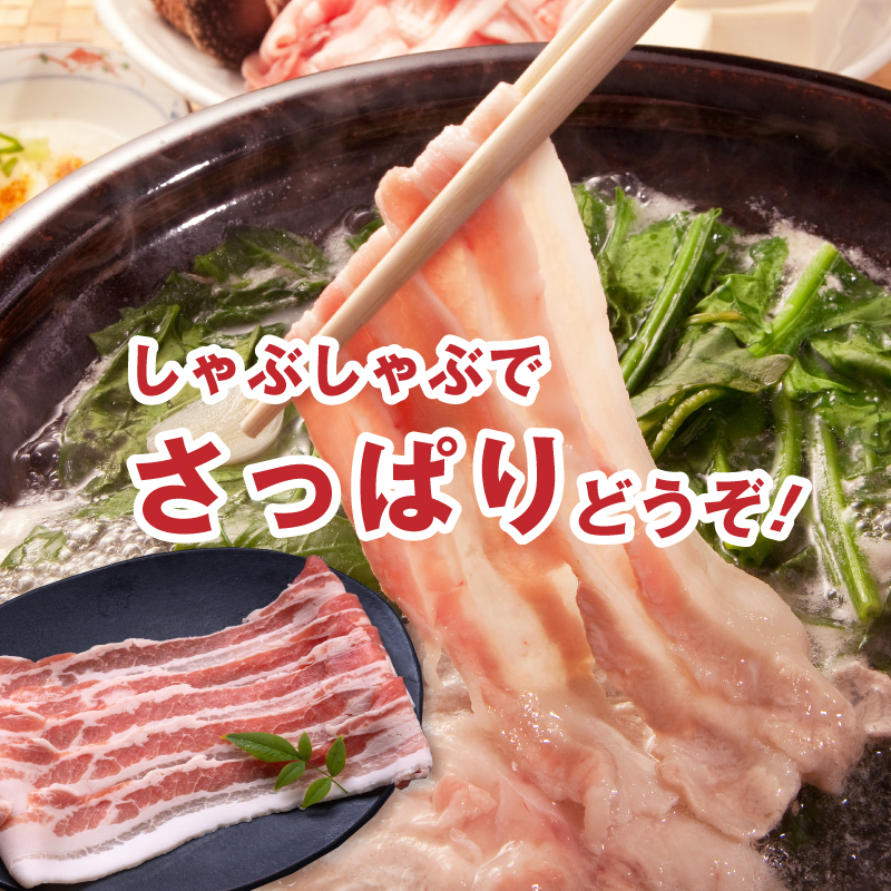 宮崎県産豚肉バラしゃぶ2.4kgセット K65_0011