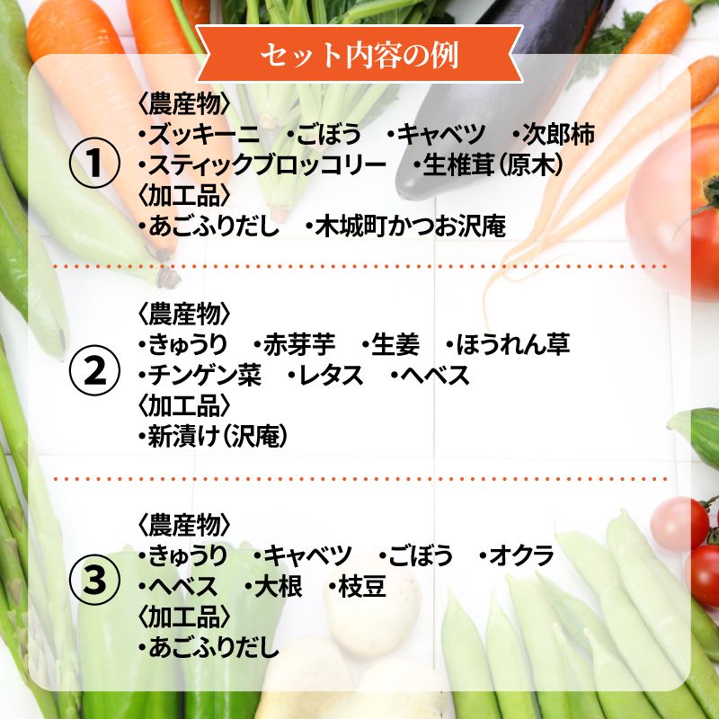 木城町産農産物と加工品セット K04_0001_2