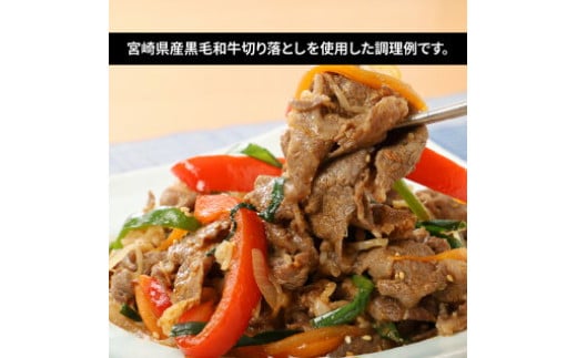 牛肉＆豚肉切り落としセット【合計2kg】 K16_0056_5