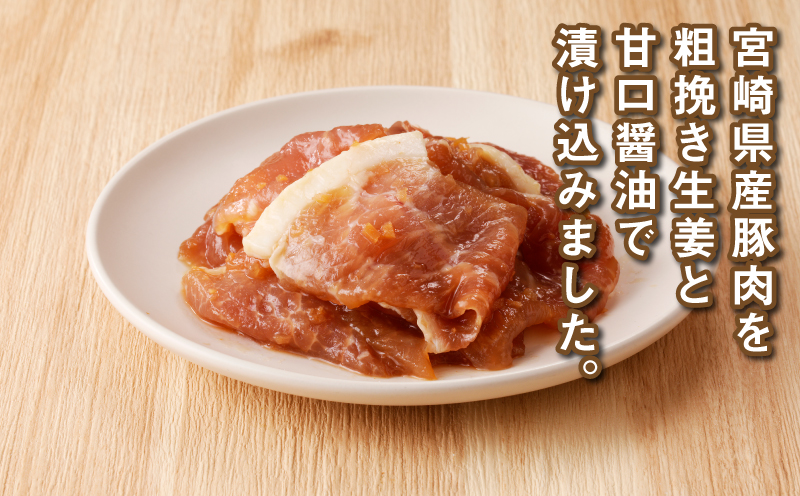 簡単調理　宮崎県産豚肉の生姜焼き 6kg（300g×20P）K16_0148