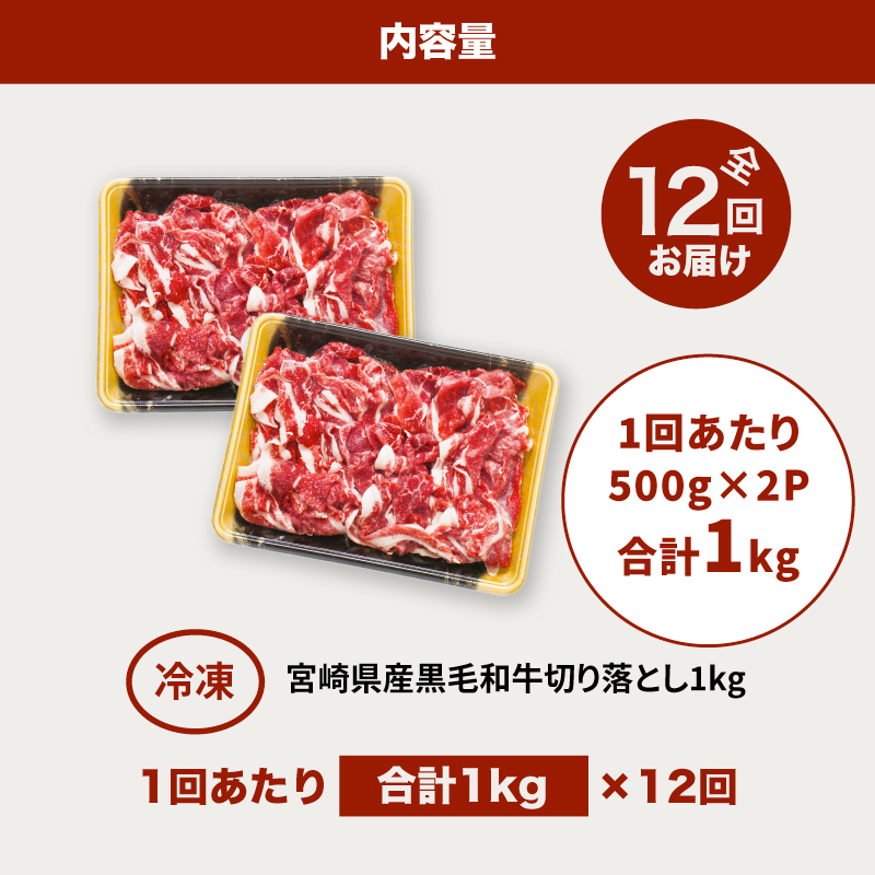宮崎県産黒毛和牛 贅沢切り落とし1kg(500g×2)×12回定期便 K16_T016