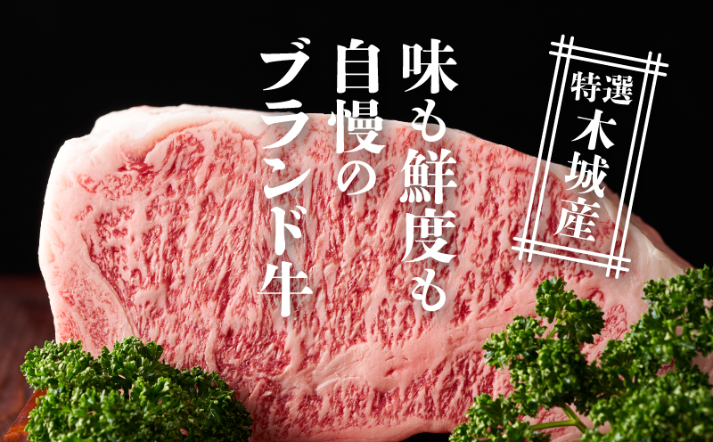 JAこゆ牛 特選木城産 カルビ500g 焼肉用_K56_0006