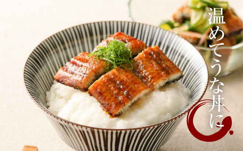 宮崎県産 うなぎ 蒲焼き 5尾セット K10_0011_2 