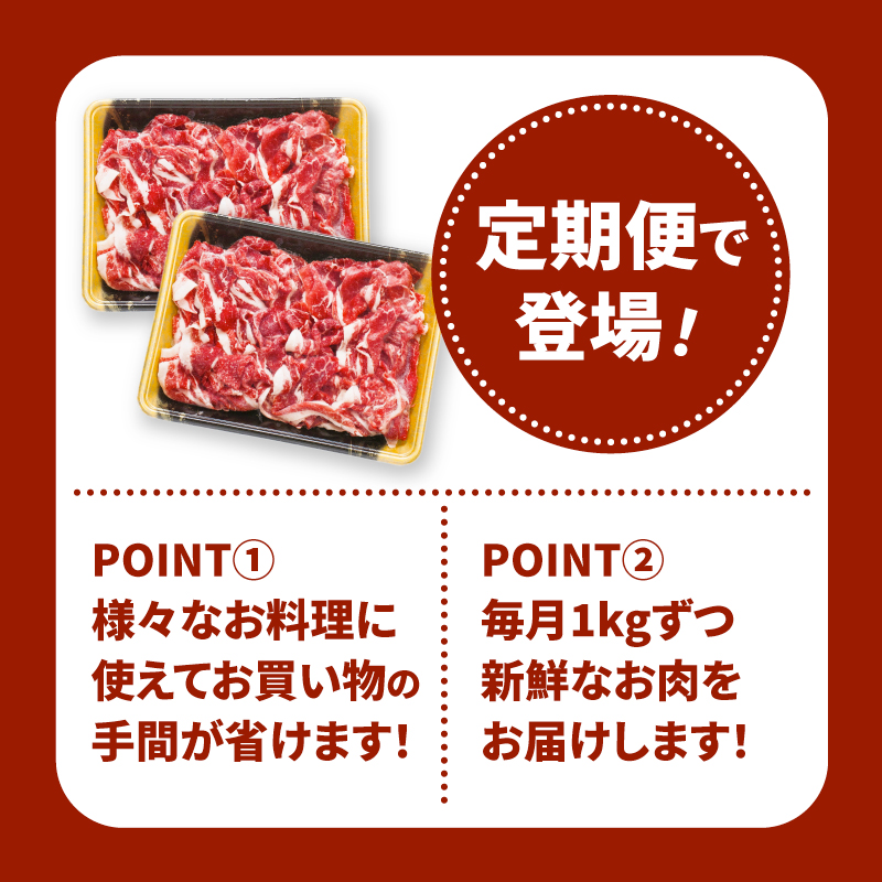 宮崎県産黒毛和牛 贅沢切り落とし1kg(500g×2)×6回定期便 K16_T015