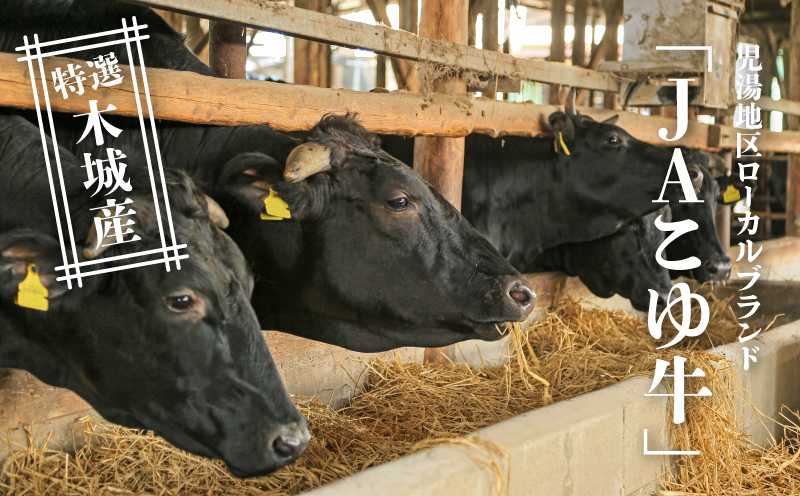 JAこゆ牛 特選木城産 肩ロース500g すき焼き用_K56_0005