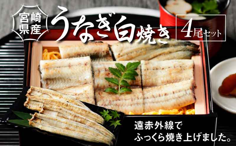 宮崎県産 うなぎ 白焼き 4尾セット	 K10_0014_2 