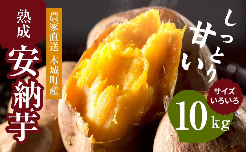 農家直送　木城町産　熟成安納いも10kg K30_0002_1