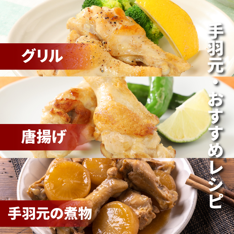 宮崎県産鶏 スペシャル鶏三昧5kgセット K16_0017_4