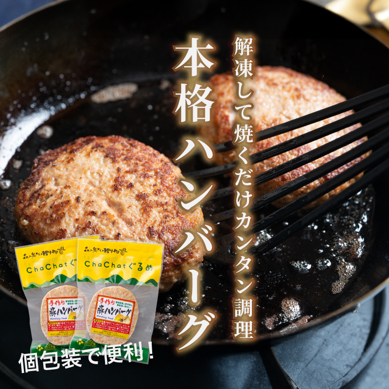 宮崎県産 ポークハンバーグ個包装(10個/冷凍) K16_0163