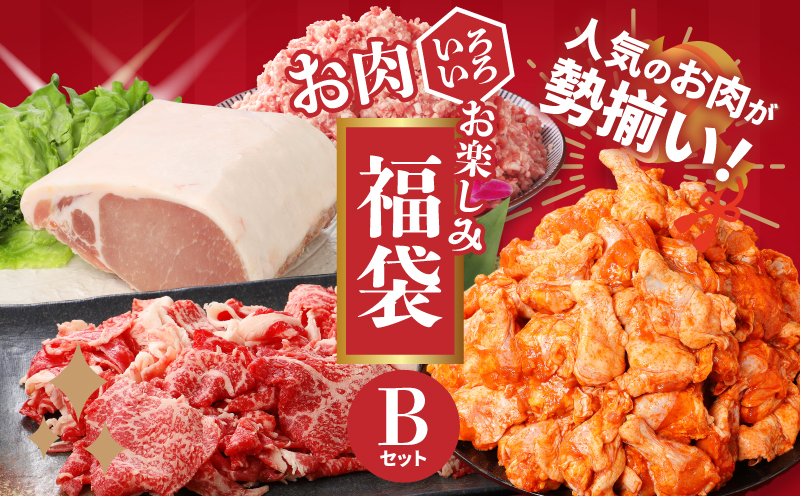福袋 木城町 お肉いろいろお楽しみセットB K16_0070_3
