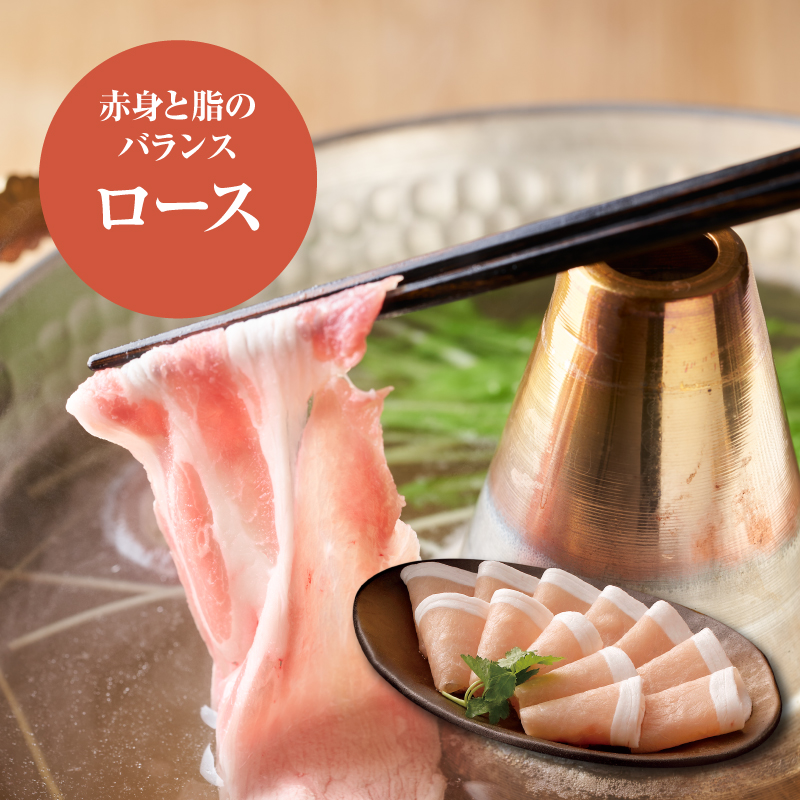 宮崎県産豚ロースしゃぶしゃぶ用 500g K16_0192