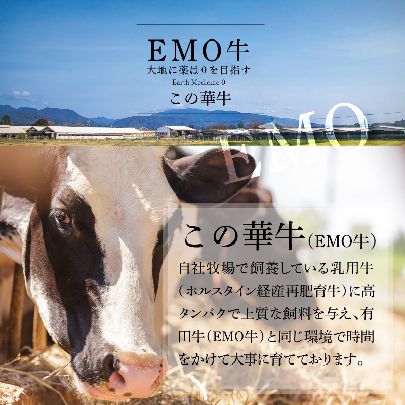 有田牧場直送この華牛 ドーンと盛合せフリースライス 1.4kg K20_0018_2