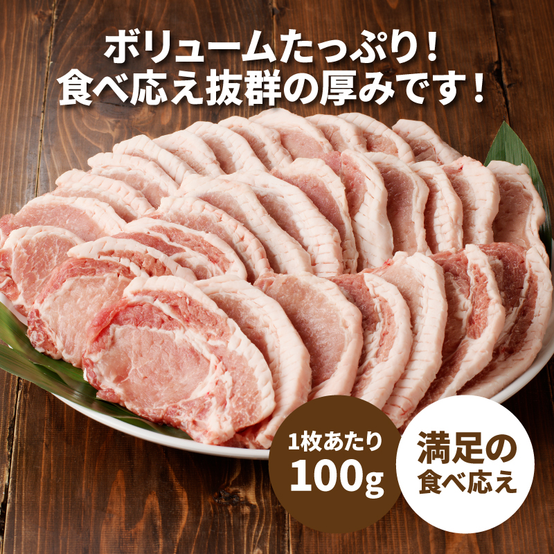 贅沢宮崎県産豚肉ロース100gカット10枚 K16_0149