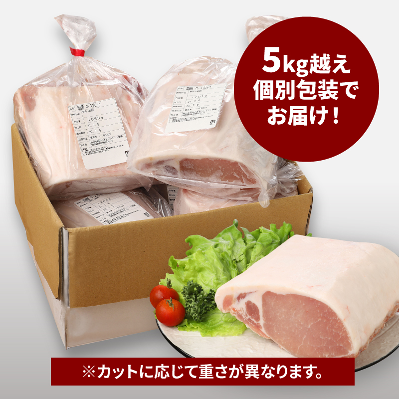 宮崎県産豚ロースブロック　5kg越え K16_0058_1