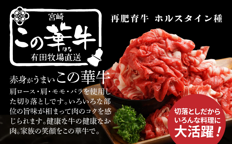 有田牧場直送この華牛切り落とし900g  12ヶ月定期便　K20_T003_1