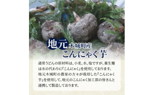 養生麺つけ麺セット K10_0005_1