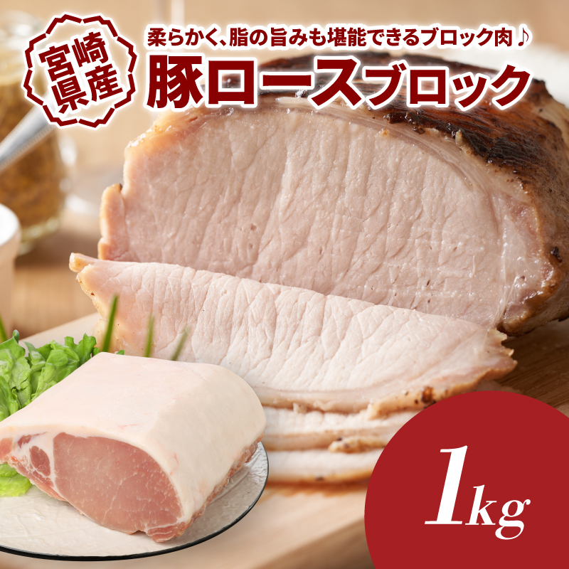 福袋 木城町 お肉いろいろお楽しみセットB K16_0070_3