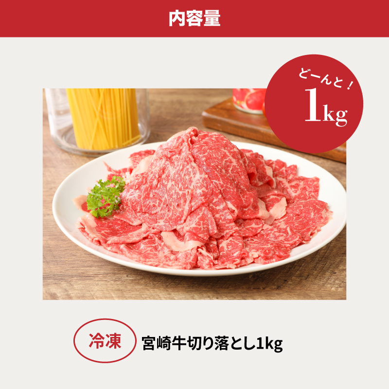 ＜宮崎牛　和牛　切り落とし1kg＞ K01_0011_1