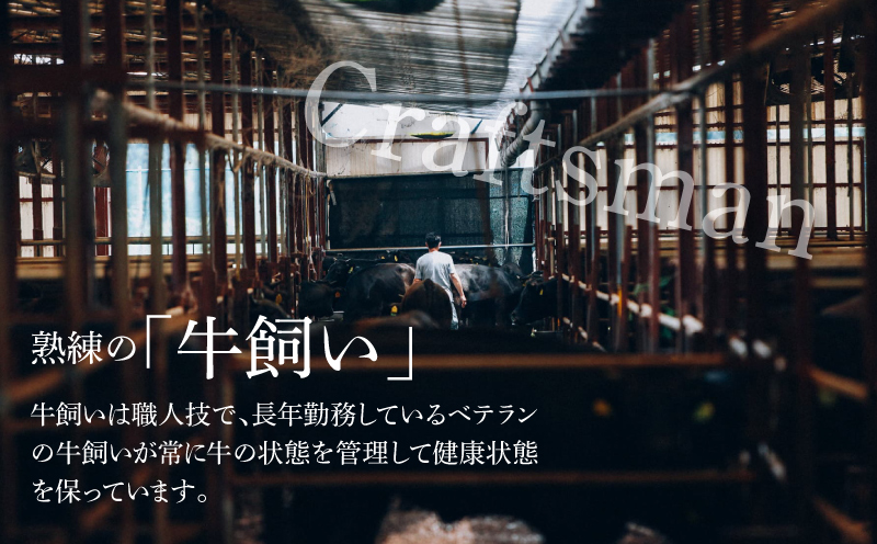 有田牧場直送この華牛切り落とし900g  ６ヶ月定期便　K20_T002_1