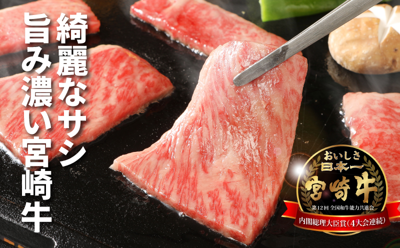 宮崎牛 肩ロース焼肉600ｇ  K18_0037_5